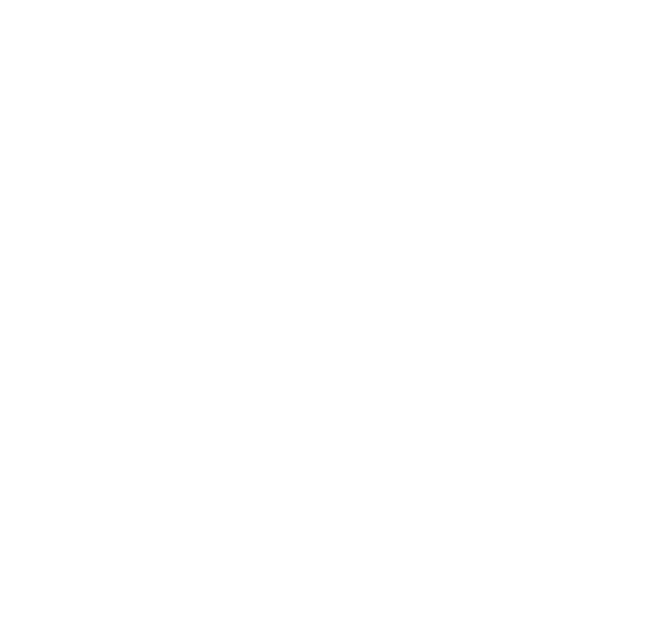 Champions League 2024